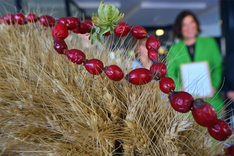 Gebunden haben die Krone vier Jugendliche. Martin Schutt/dpa