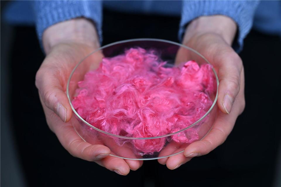 Gefärbte Lyohemp-Fasern werden präsentiert während der Einweihung des „Demonstration and Innovation Center for Textile Circular Economy“ (DICE), einem Thüringer Innovationszentrum mit Schwerpunkt textile Kreislaufwirtschaft. Martin Schutt/dpa