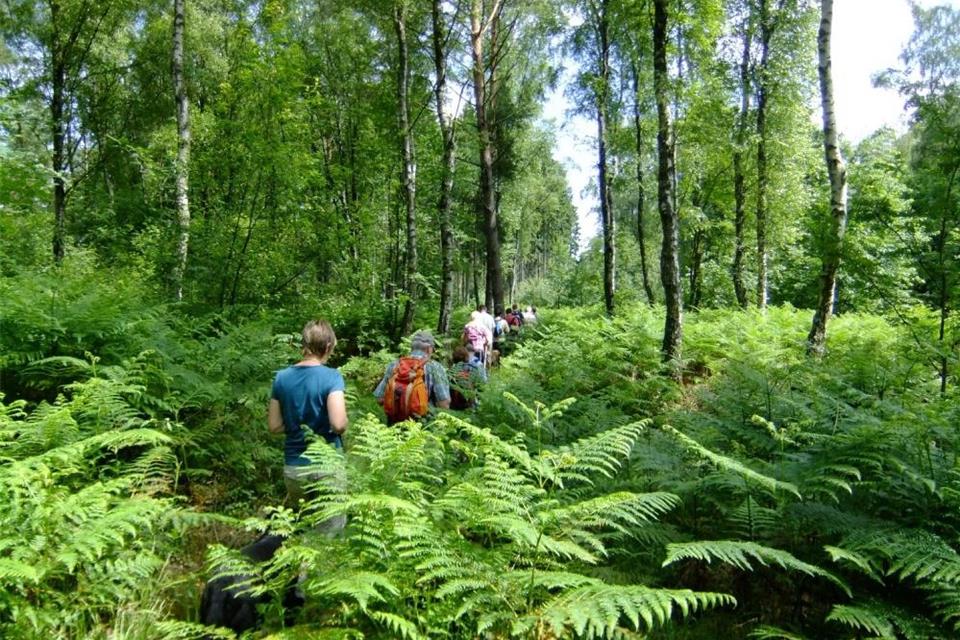 Geführte Wanderungen sind derzeit nur mit kleineren Teilnehmergruppen möglich.