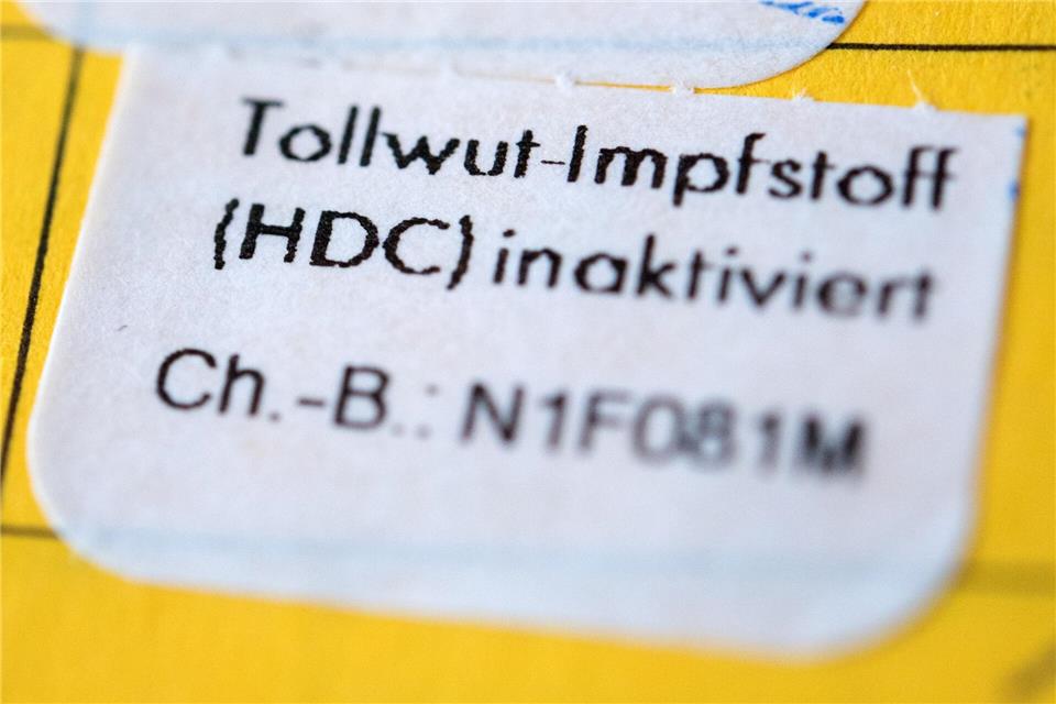 Gegen Tollwut kann man sich impfen lassen - die Krankheit verläuft unbehandelt tödlich.picture alliance/dpa