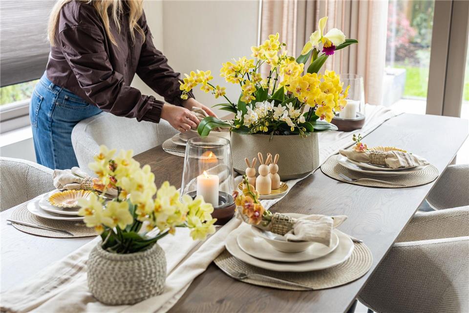 Inspiration für Ostern: Mit Blüten den Frühling begrüßen Gelbe Blumen für Ostern: Statt klassischer Frühlingsblumen können auch Orchideen die Festtafel schmücken.orchidsinfo/GPP/dpa-tmn
