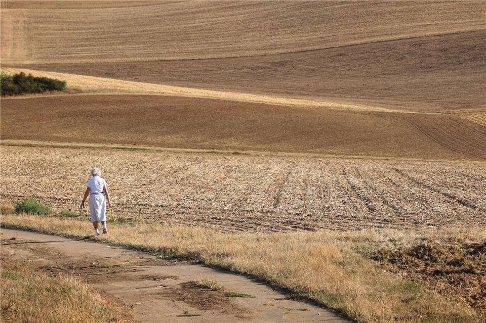 Gelbe, trockene Felder bestimmen derzeit das Landschaftsbild. (Archivbild) Karl-Josef Hildenbrand/dpa
