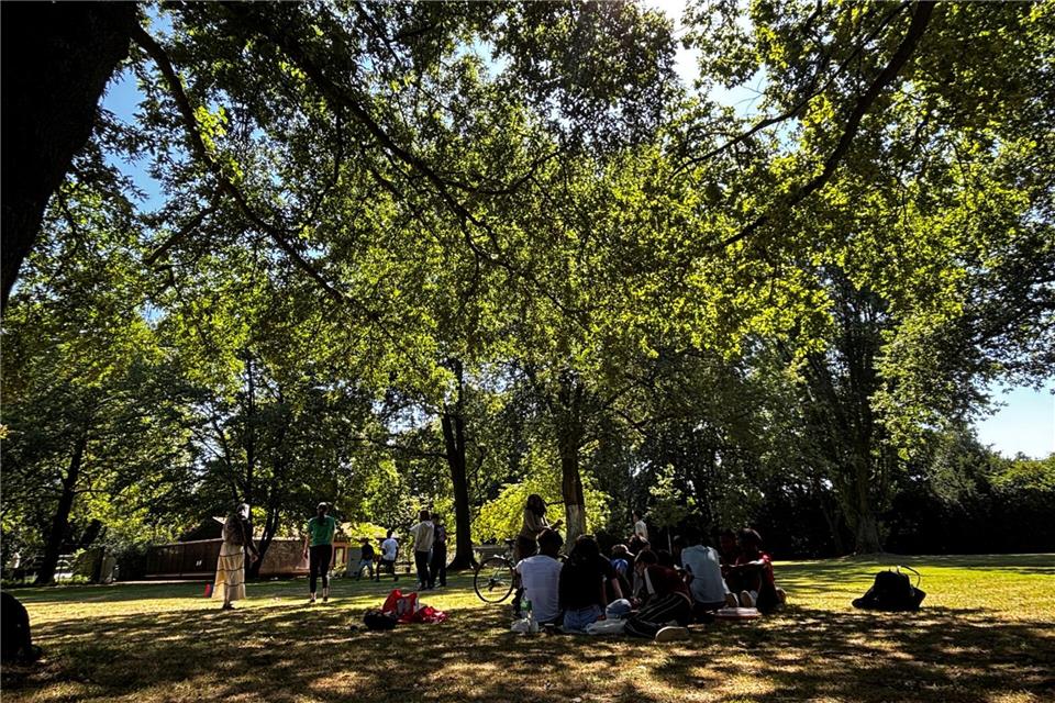 Gelebte Aufenthaltsqualität: Die internationale Klasse des Berufskollegs hat am Dienstag den Stadtpark kurzzeitig zum Klassenzimmer gemacht.