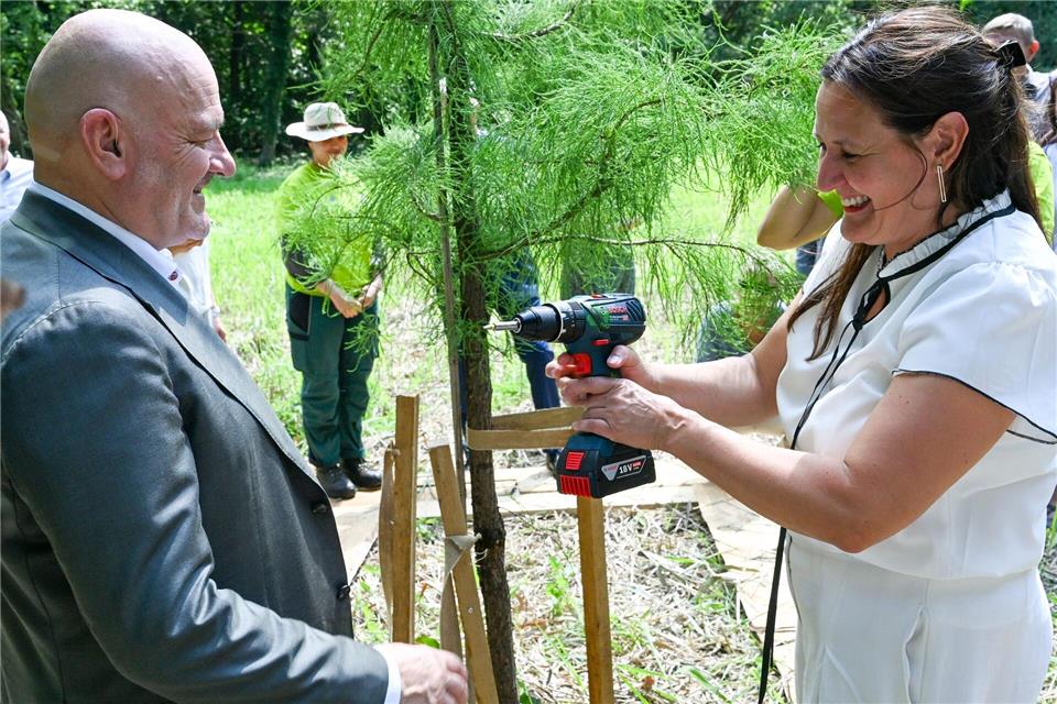 Gemeinsam beim Baumpflanzen: Die beiden SPD-Politiker, Kulturministerin Manja Schüle und Infrastrukturminister Robert Crumbach, verstehen sich gut. (Archivbild) Jens Kalaene/dpa