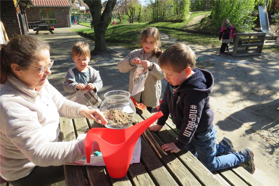 Gemeinsam mit den Erzieherinnen entdecken die Kinder die Gartenarbeit, Pflanzenvielfalt und schulen gleichzeitig soziale Kompetenzen.