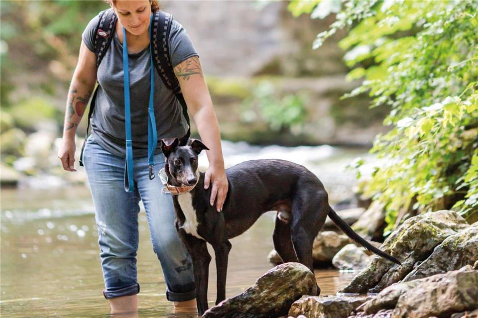Gemeinsam unterwegs: Wanderungen am Wasser bringen Abwechslung in den Alltag.Lisbeth Ganer/Müller Rüschlikon 2019/dpa-tmn