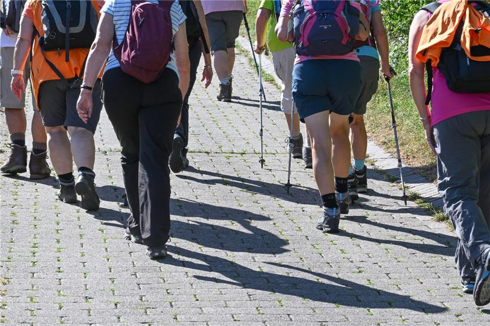 Gemeinsam zu wandern und andere Freizeitaktivitäten in Gruppen sind in Hessen angesagt. (Foto Archiv) Bernd Weißbrod/dpa