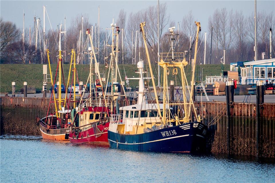 Gemessen am Umsatz meldeten die Krabbenfischer ein „Rekordjahr“.Hauke-Christian Dittrich/dpa