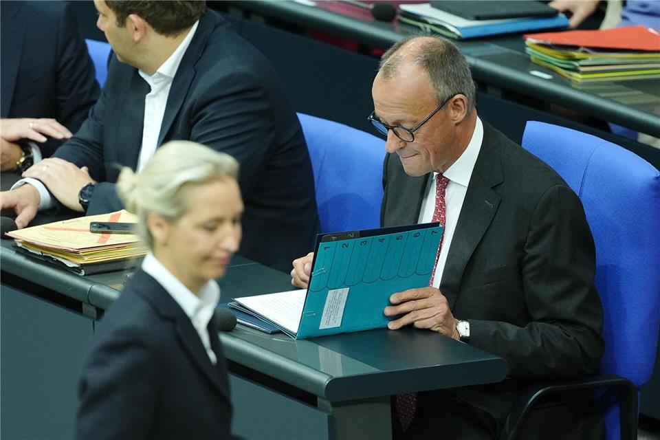 Generaldebatte zum Haushalt 2025 im Bundestag - Weidel und Kanzler MerzKay Nietfeld/dpa