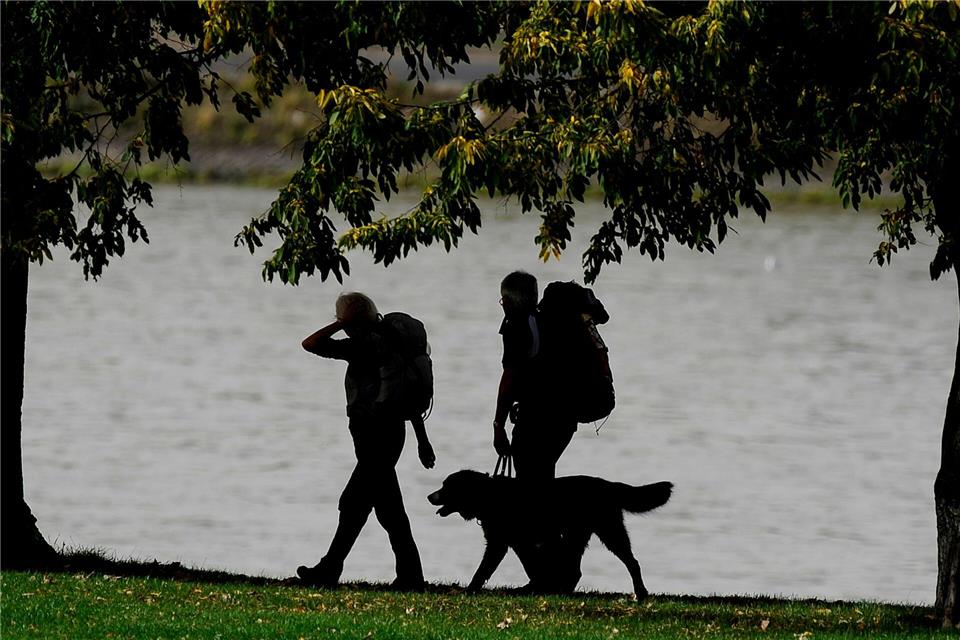 Genug Proviant einpacken und die Distanz langsam steigern: Dann können Hunde ohne Probleme eine Wandertour bewältigen.Marius Becker/dpa/dpa-tmn