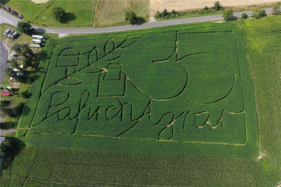 Geplante Infotafeln sollen im Labyrinth über den Hanfanbau informieren. Bodo Schackow/dpa