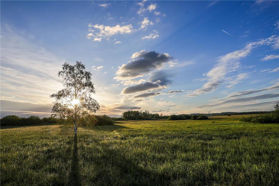 Gerade im Süden Deutschlands zeigt sich die Sonne schon zum Wochenstart.Thomas Warnack/dpa