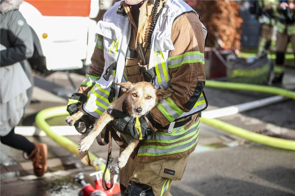 Gerade noch rechtzeitig wurde ein Hund vor einem Feuer gerettet. (Foto-Handout)Marc Eich/dpa