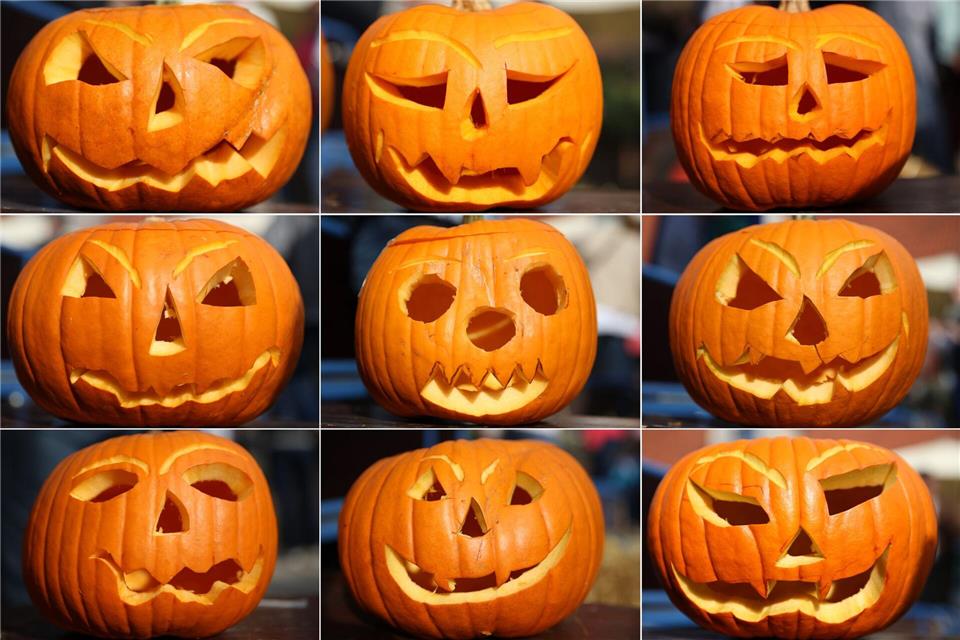 Kürbis-Boom: Pumpkin ist populär  Geschnitzte Kürbisse: Nicht zuletzt Halloween hat den Kürbis hierzulande beliebter gemacht. (Archivbild)picture alliance / dpa