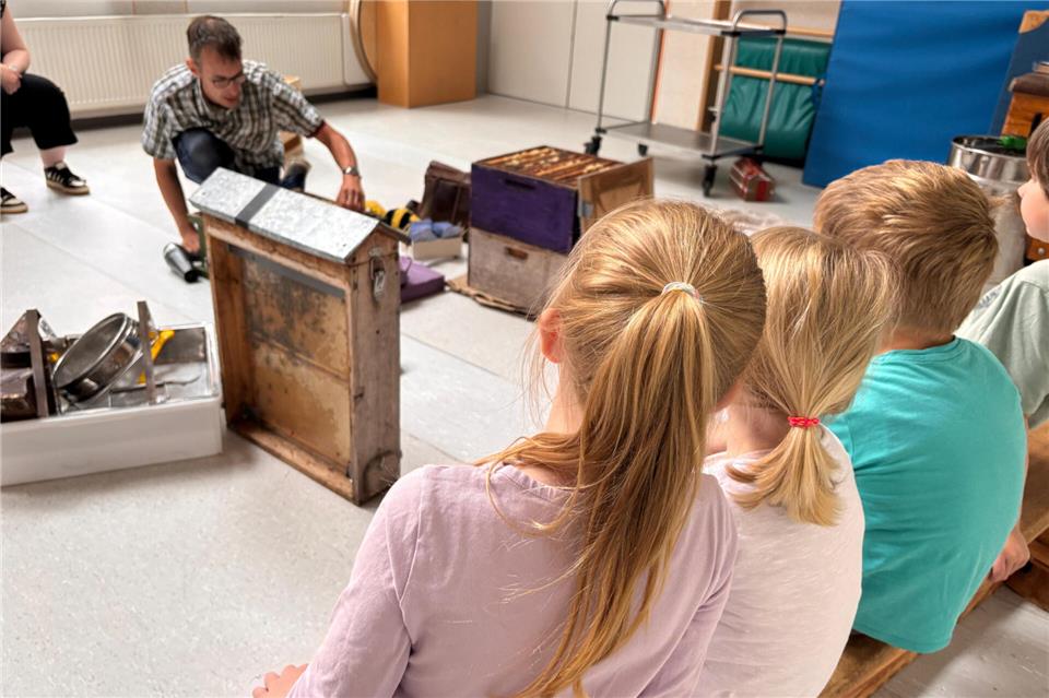 Gespannt blicken die Kindergartenkinder auf den Wabenrahmen, in dem sich viele Honigbienen hinter Glas tummeln.