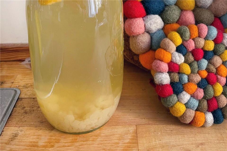 Gesüßtes Wasser, Kefirkristalle und Mangostreifen machen den Wasserkefir zu einem prickelnden Durstlöscher.Ricarda Dieckmann/dpa-tmn