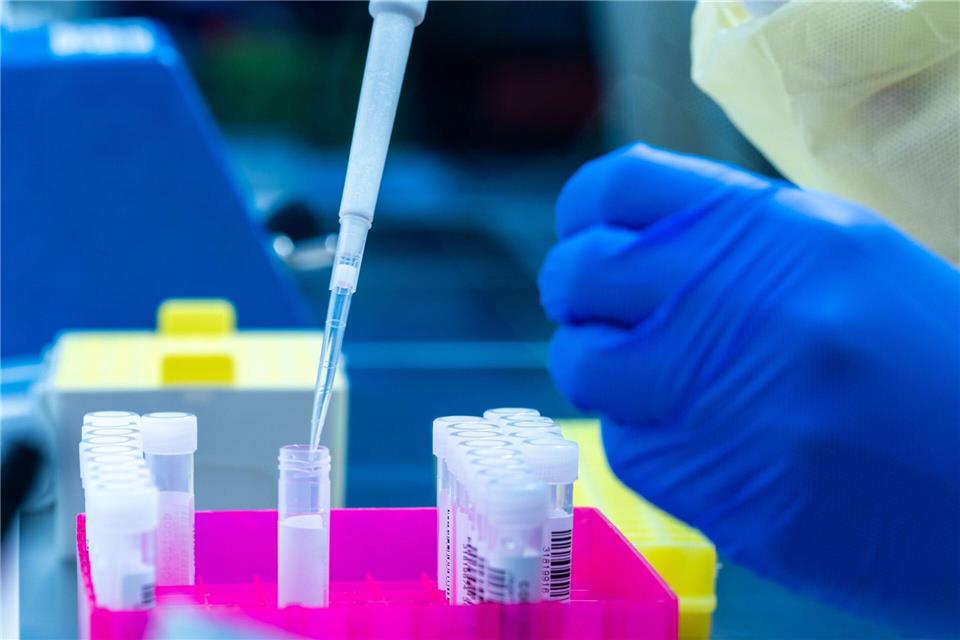 Gesundheitliche Wechselwirkungen zwischen Mensch, Tier und Umwelt wollen Forscher und Forscherinnen des Helmholtz-Instituts für One Health künftig in einem eigenen Forschungsbau untersuchen, um weltweit Seuchen vorzubeugen. (Symbolbild)Jens Büttner/dpa-Zentralbild/dpa