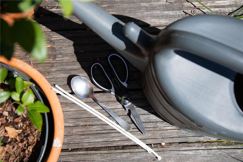 Gießen ohne Brausekopf: Lässt sich mit einem Löffel an der Gießkanne eine größere Fläche bewässern?Christin Klose/dpa-tmn