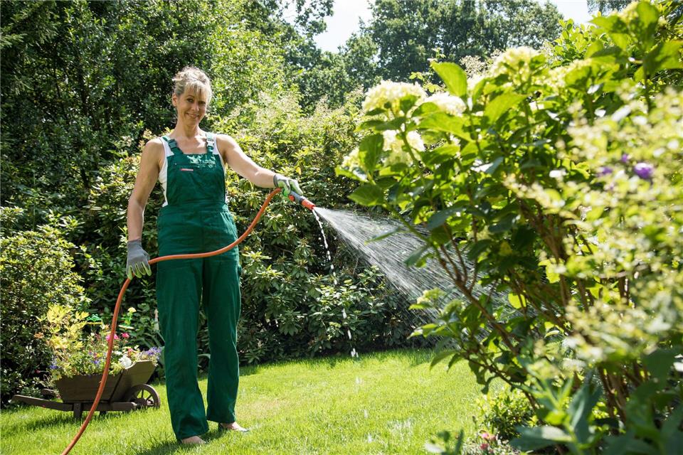 Gießen ohne Zerren und Stolpern: Ein Gartenschlauch sollte zur Entfernung der Pflanzen vom Wasseranschluss passen. picture alliance / dpa-tmn