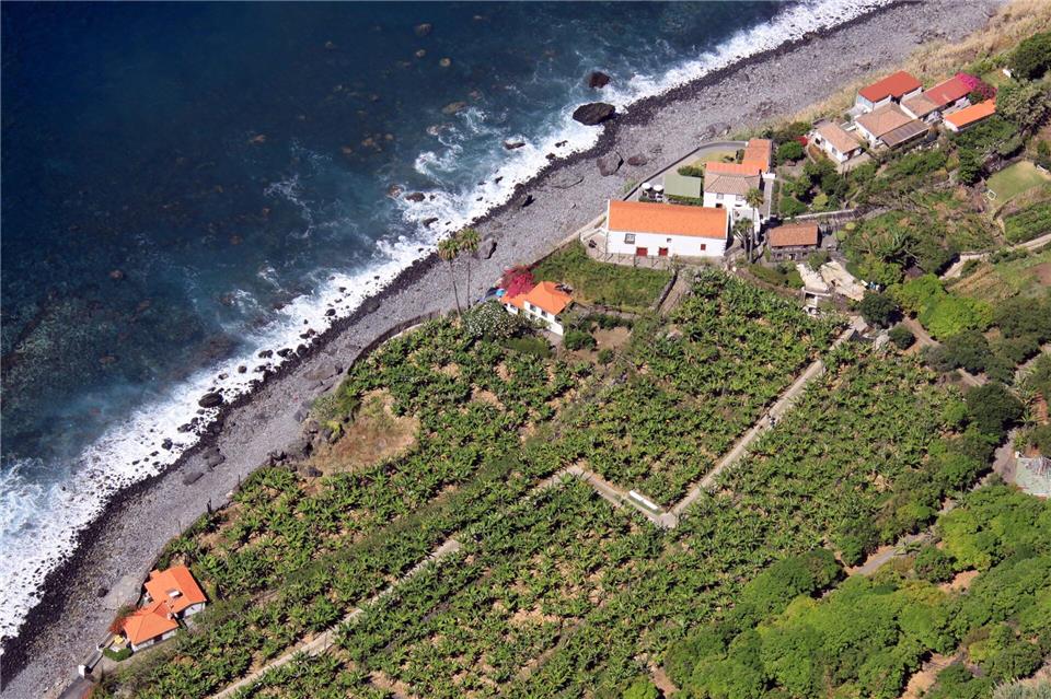 Gilt als die Wiege des Madeira-Weins: das Weingut Fajã dos Padres, geschützt gelegen vor einer steilen Felswand an der Küste.Manuel Meyer/dpa-tmn