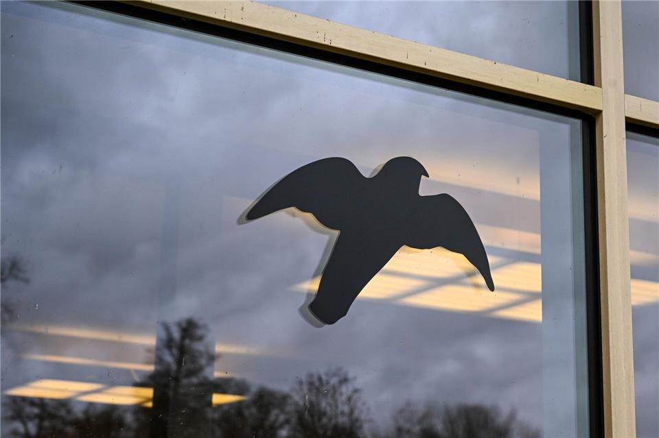 Glasscheiben stellen für Vögel auch in Berlin ein großes Risiko dar. (Symbolbild)Jens Kalaene/dpa