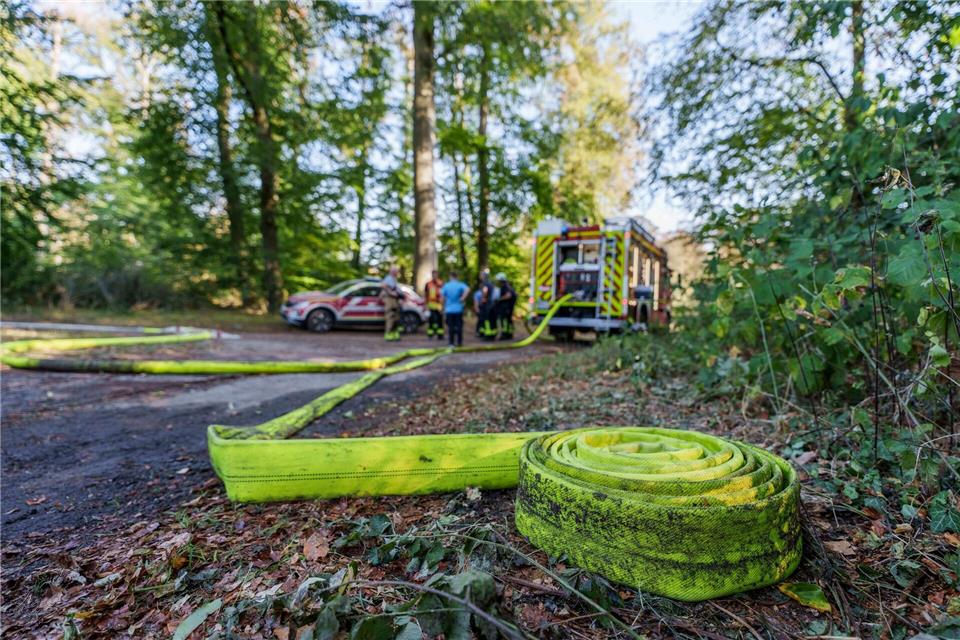 Gleich mehrere Brände gab es in einem Waldstück zwischen Ober- und Niederrodenbach Andreas Arnold/dpa