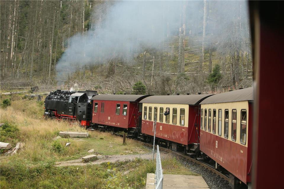 Gleisarbeiten legen im November Strecken der Harzer Schmalspurbahn lahm. (Archivbild)Matthias Bein/dpa-Zentralbild/dpa