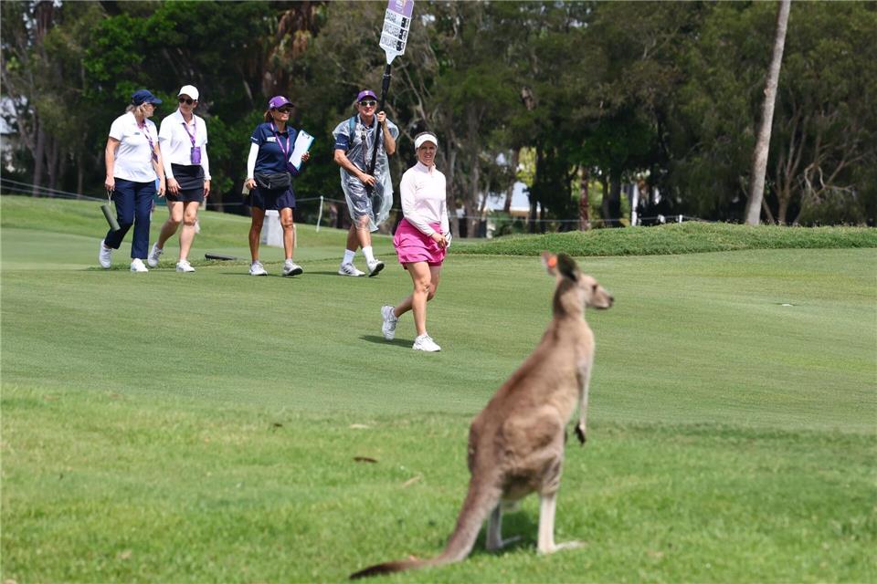 Gold Coast (Australien): Ungewohnter Zuschauer – die Finnin Noora  Komulainen trifft in der WPGA-Finalrunde auf ein Känguru.Jason O’Brien/AAP/dpa