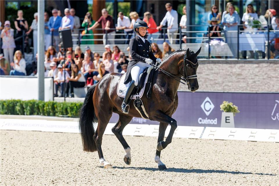 Gold verpasst: Isabell Werth musste sich mit Bronze begnügen.Lafrentz Stefan/dpa