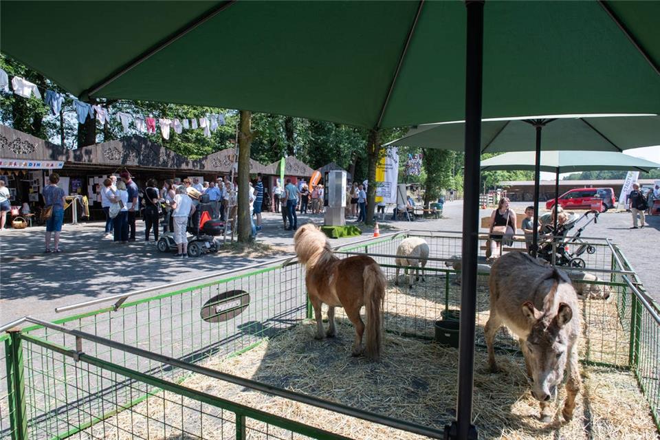 Golddorf Marbeck präsentiert sich auf Bundesebene