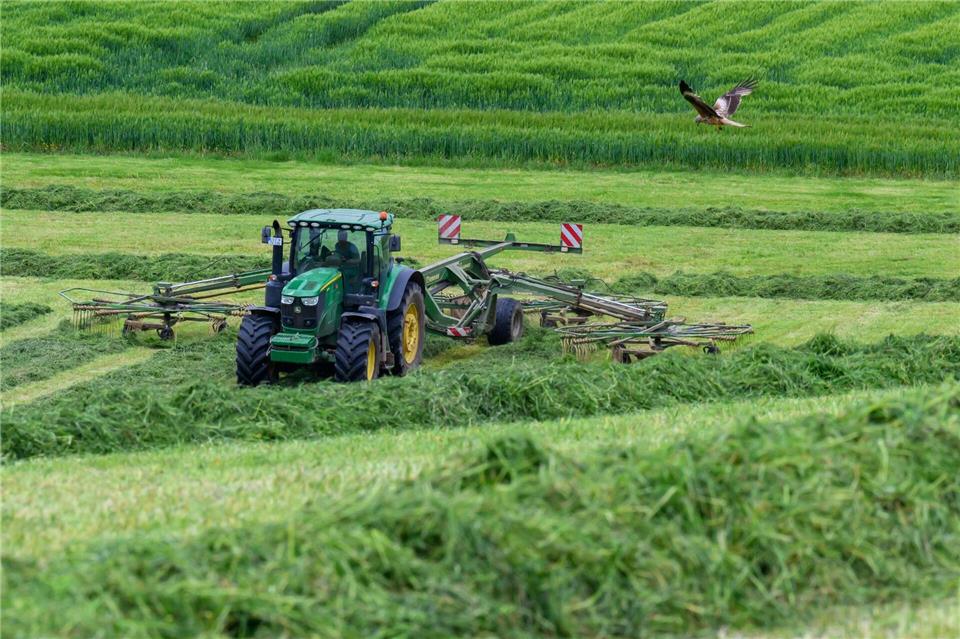 Grassilage ist ein wichtiges Futter für die Milchkühe. Vielerorts haben Sachsens Bauern in den vergangenen Tagen den ersten Schnitt eingebracht.Hendrik Schmidt/dpa