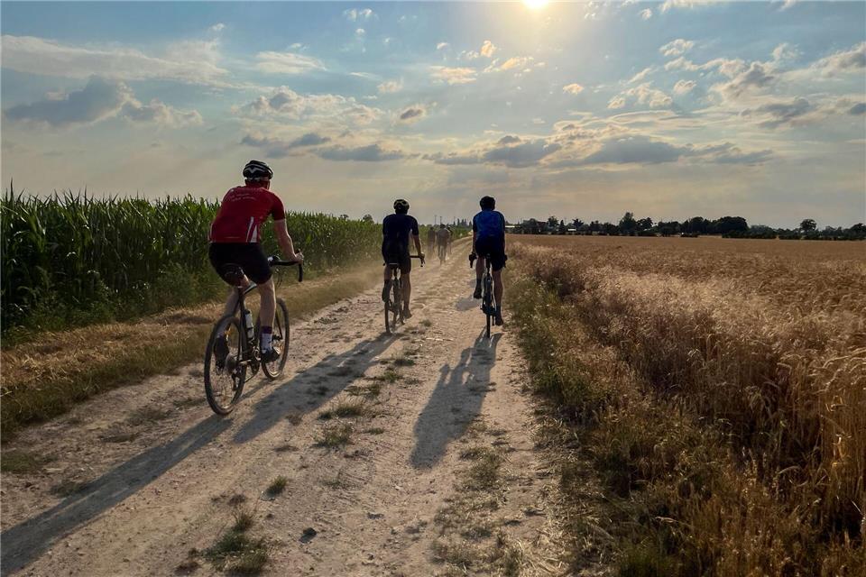 Gravelbikes verbinden Tempo mit Geländetauglichkeit (Archivbild)Jan Woitas/dpa