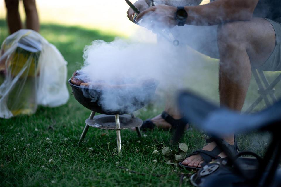 Grillen im Park - im Sommer immer beliebt. (Archivbild)Fabian Strauch/dpa