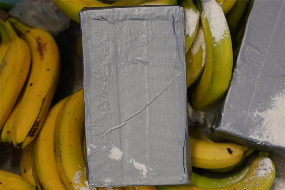 Große Kokain-Lieferungen aus Südamerika werden häufig unter Bananen versteckt. (Symbolbild)Marcus Brandt/dpa