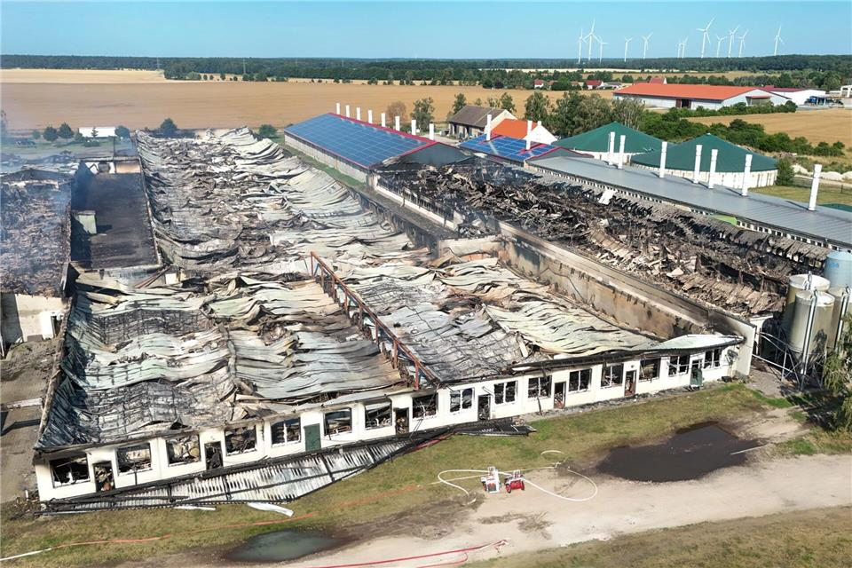 Große Teile der Mastanlage in Düben sind durch das Feuer zerstört worden. (Archivbild)Heiko Rebsch/dpa