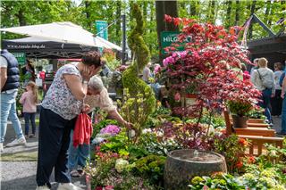 Großer Andrang auf den Waldgartenmarkt in Velen.