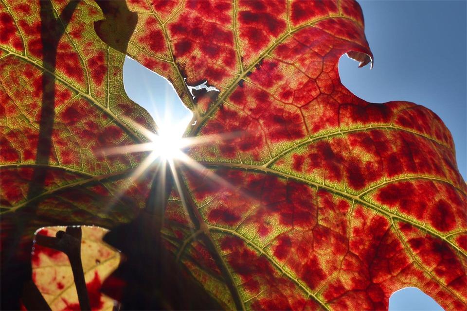 Großteils freundliche Herbsttage stehen in Bayern bevor.Karl-Josef Hildenbrand/dpa