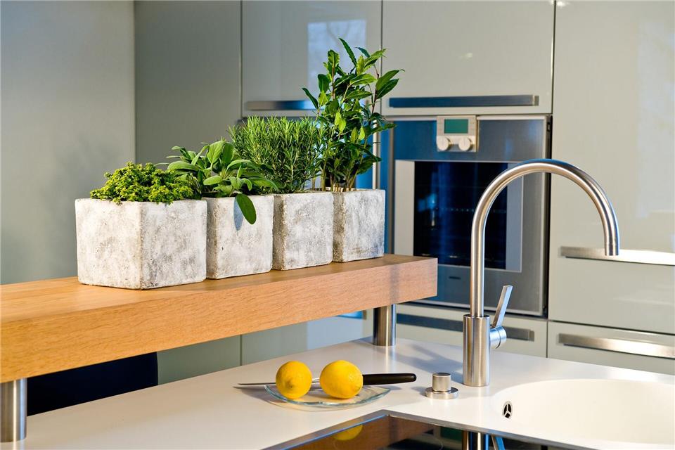 Grüne Frische in der Küche: Im Winter lassen sich viele Kräuter auch in hellen Innenräumen erfolgreich anbauen.GMH/dpa-tmn