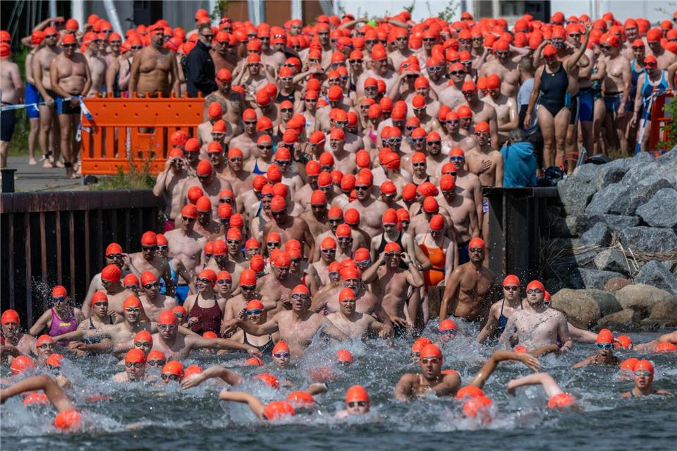 Gut 1.000 Schwimmerinnen und Schwimmer starteten beim 61. Sundschwimmen.Stefan Sauer/dpa