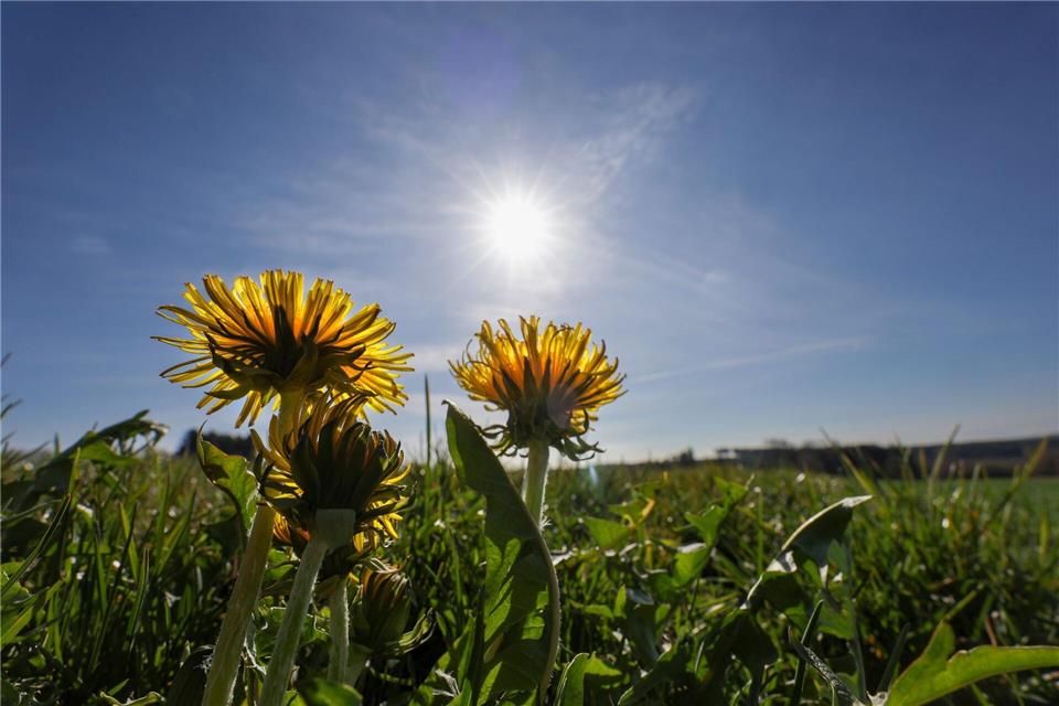 Gutes Wetter für die Osterferien. (Archivbild)Thomas Warnack/dpa