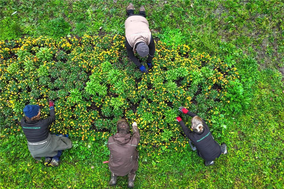 Wie sich mit Gartenarbeiten Steuern sparen lassen Haben Sie fleißige Helfer im Garten? Bezahlte Dienstleister können die Steuerlast ihrer Auftraggeber senken.picture alliance/dpa