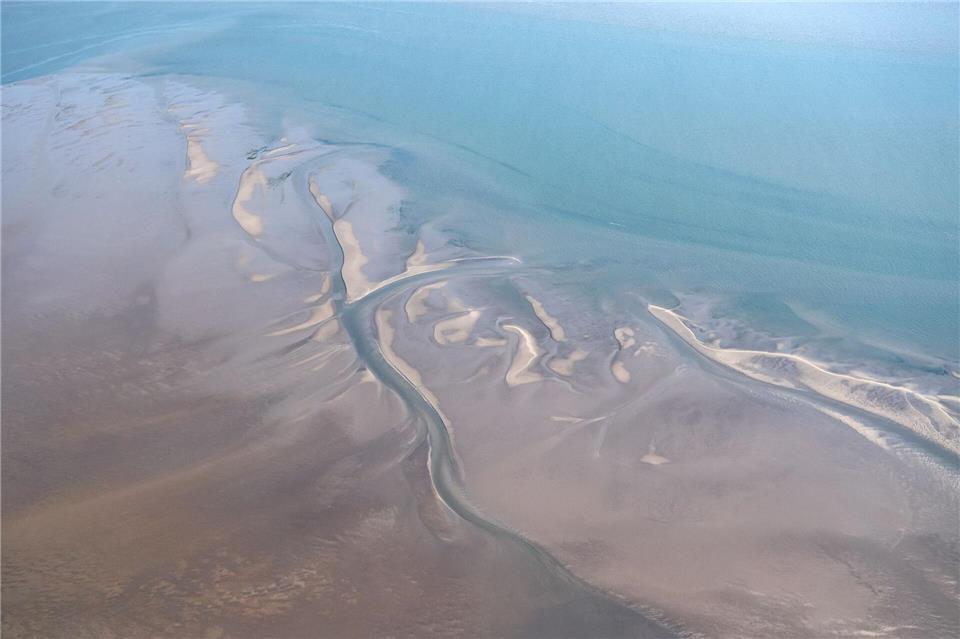 Hai-Experten haben in der Nordsee zwischen der ostfriesischen Insel Borkum und den westfriesischen Inseln in den Niederlanden ein Gebiet eingegrenzt, in dem sich regelmäßig neugeborene und junge Hundshaie aufhalten. (Archivbild)Sina Schuldt/dpa