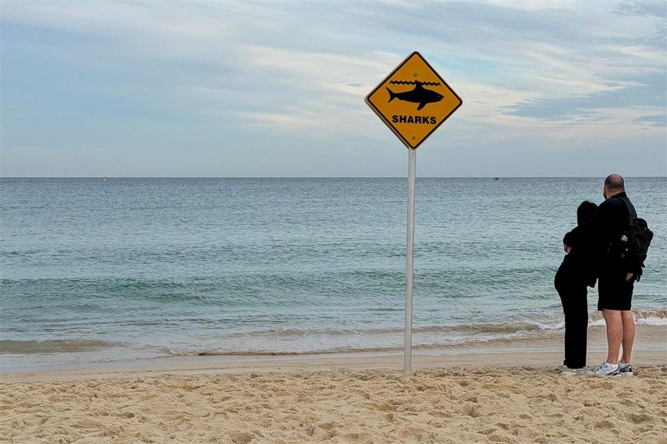 Haiangriffe in Australien nehmen Experten zufolge zu.Laura Csapó/dpa