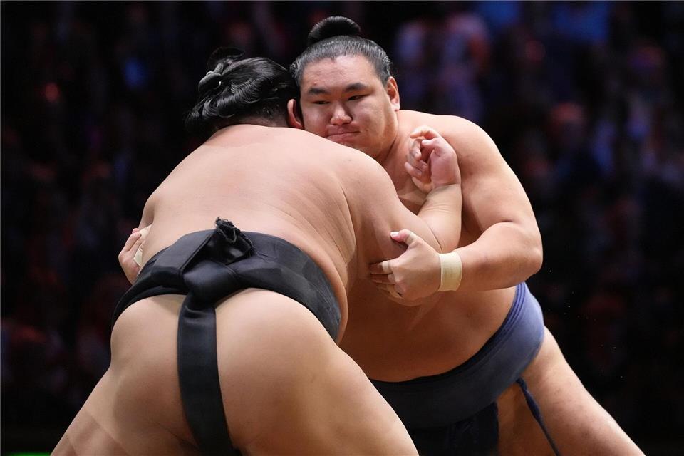 Hakuoho (l) und Hoshoryu in Aktion während ihres Kampfes beim Großen Sumo Turnier in der Royal Albert Hall in London. Frank Augstein/AP/dpa