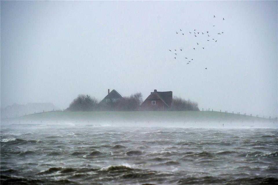 Halligen werden bei Sturmfluten teils überspült. (Archivbild)Maja Hitij/dpa