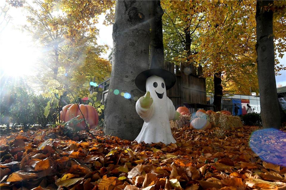 Bilder des Tages Halloween-Atmosphäre in München: Bavaria Filmstadt verwandelt sich zur Spooky TourFelix Hörhager/dpa