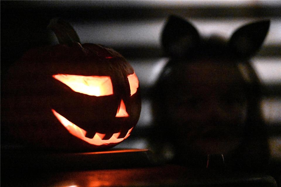 Halloween-Bilanz: Feuerwerk und nagelgespickte Schokolade Halloween wird auch in Deutschland gefeiert.Swen Pförtner/dpa