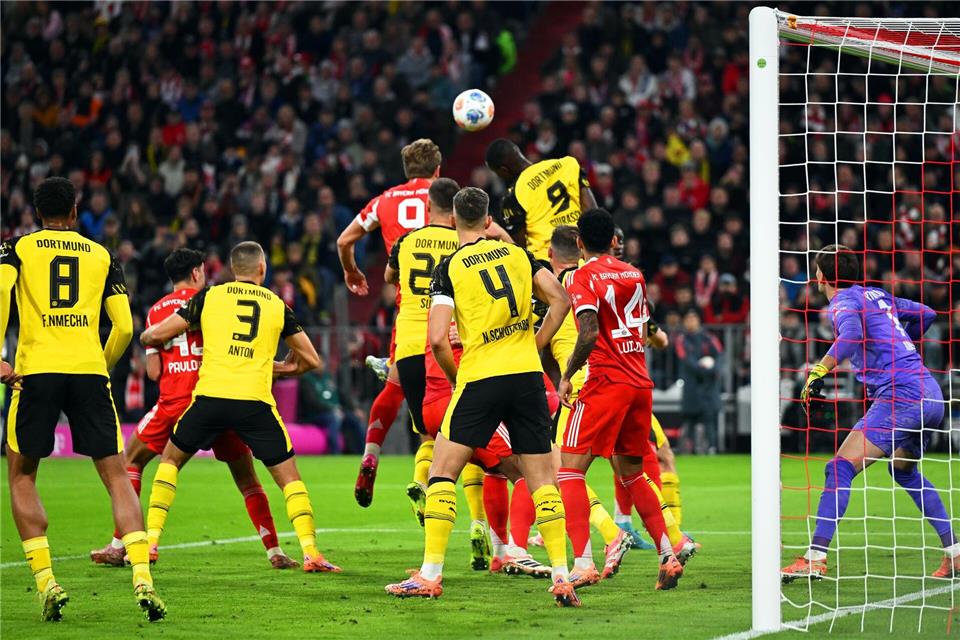 Harry Kane (hinten, Mitte l) brachte den FC Bayern früh in Führung.Sven Hoppe/dpa