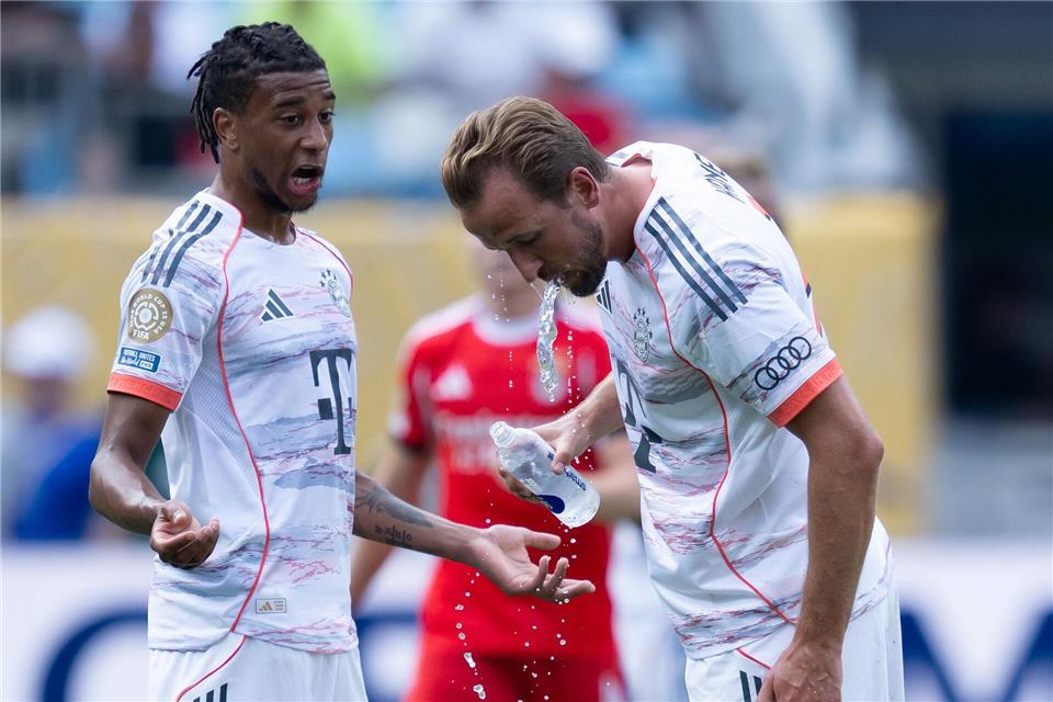 Schlechtes Omen für WM? Lautes Stöhnen über Wetter-Extreme Harry Kane (r) kühlt sich mit Wasser von innen.Sven Hoppe/dpa