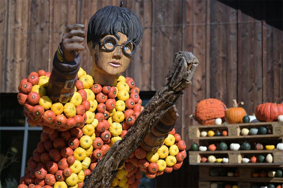 Harry Potter entstand aus dutzenden Kürbissen.Michael Bahlo/dpa